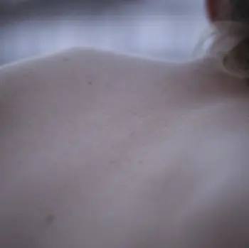 Copertina dell'album Hide dei Burweed