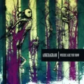 Copertina dell'album Where Are You Now degli Ankhagram