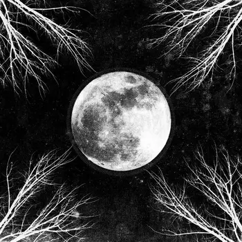 Copertina dell'album PaleMoon dei Corpus Christii