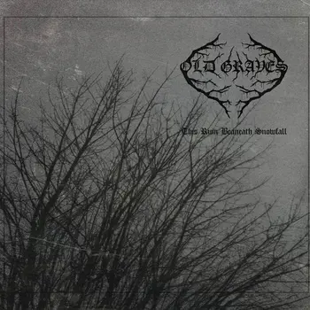 Copertina dell'EP This Ruin Beneath Snowfall degli Old Graves