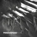 Copertina dell'album Faemin dei Process Of Guilt