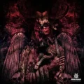 Copertina dell'album The Acausal Fire dei Bane