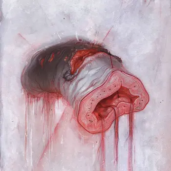 Copertina dell'album Prolapse degli American Heritage