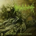 Copertina dell'album The Disembodied - In Spiritual Spheres dei Near Death Condition