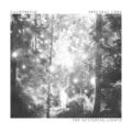 Copertina dello split Quivering Lights che vede coinvolti Nachtreich e Spectral Lore
